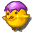 Little Chick